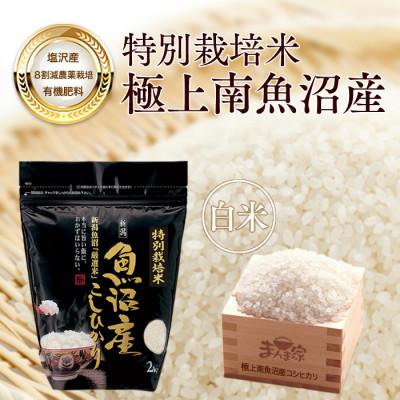 ふるさと納税 南魚沼市 【7年産新米予約】特別栽培米「南魚沼産コシヒカリ」(栽培期間中農薬節減・化学肥料不使用)白米8kg