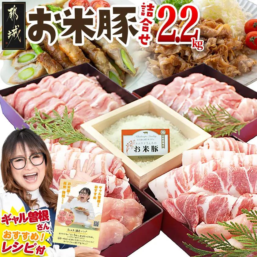 お米豚2.2kgセット〔14-3101〕_(都城市) 豚肉 豚ロース 豚こま切れ 豚バラ肉 豚肩ロース ブランド豚 小分け スライス肉  ギャル曽根さんおすすめの豚肉返礼品