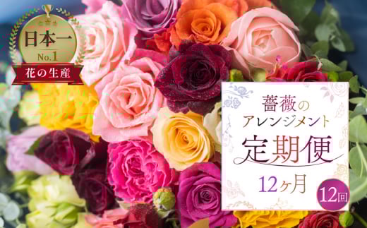 【定期便】薔薇のアレンジメント (バラ20本+ユーカリ) 12ヶ月 12回お届け アレンジブーケ バラ 薔薇 花束 ローズ 生花 赤 ピンク 色おまかせ 観賞用 プレゼント 花 ギフト 誕生日 植物 フラワー