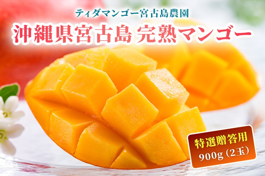 
            AI002 沖縄県宮古島・完熟マンゴー900g（2玉）【特選贈答用】ティダマンゴー宮古島農園
          
