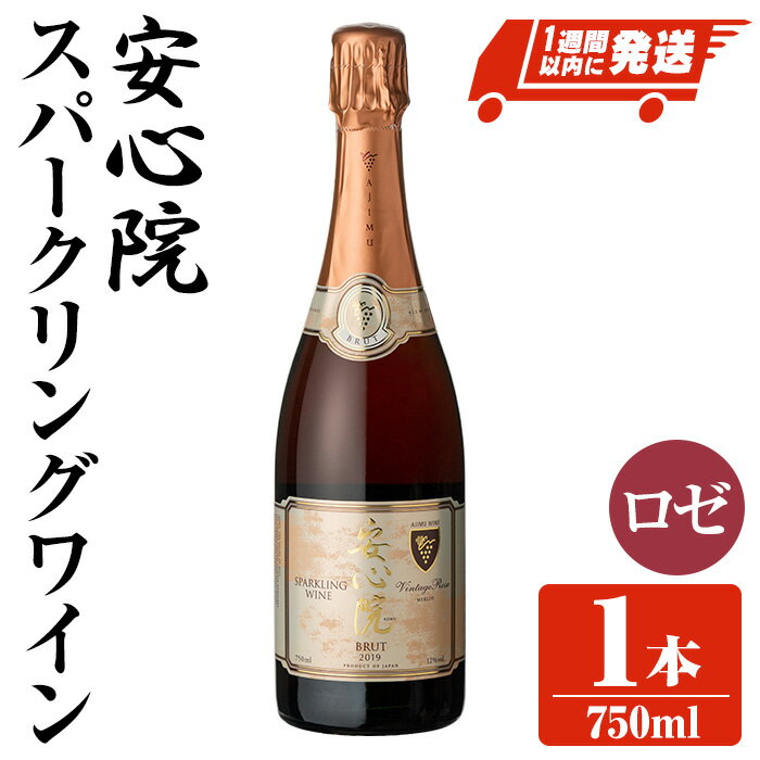 【ふるさと納税】安心院スパークリングワイン ロゼ(750ml)酒 お酒 ワイン ロゼ アルコール 飲料 ぶどう 葡萄【107301000】【時枝酒店】