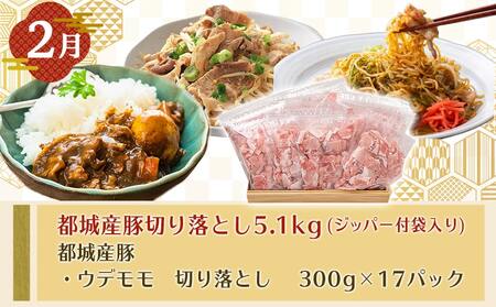 【年末企画】総重量12.7kg超え!豚ざんまい定期便(3ヶ月)2月・4月・6月お届け_T49-MY01_(都城市) 宮崎県産豚 わくわく 切り落とし 炒め物 とんかつ バラ しゃぶしゃぶ 焼肉 黒豚