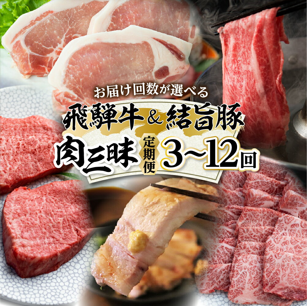【ふるさと納税】＼お届け回数が選べる／白川郷 まるごと定期便 全3回〜12回 お届け 飛騨牛 & 結旨豚 肉づくし ローススライス ブロック肉 焼肉用 もも肉 切り落とし ステーキ しゃぶしゃぶ すき焼き 食べ比べ 200000円 20万円 豚肉 国産 牛 豚 焼肉 [S474]