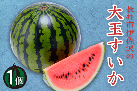 【2026年発送】長井市伊佐沢の大玉すいか約6～8kg×1玉_H055(R8)