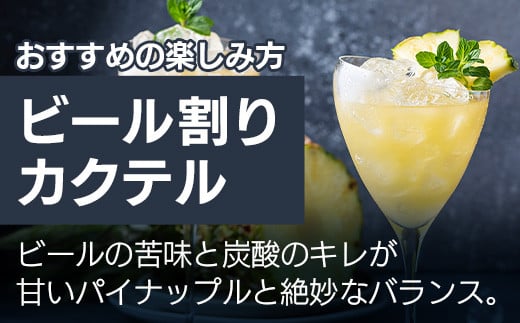 《2026年4月以降順次発送》 完熟パイン果汁100％！！濃厚ジュース4種のよくばりセット！【 沖縄県 石垣 完熟 パイン パイナップル スナック パイン ピーチ 黄金 果汁 100％ 】TF-46_