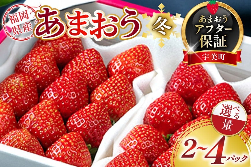
            【期間限定発送】 いちご あまおう 選べる 量 冬 福岡産 2パック 4パック [南国フルーツ 福岡県 宇美町 um40azo970034] 先行予約 イチゴ 苺 フルーツ 果物 果実 甘い あまい 小分け
          