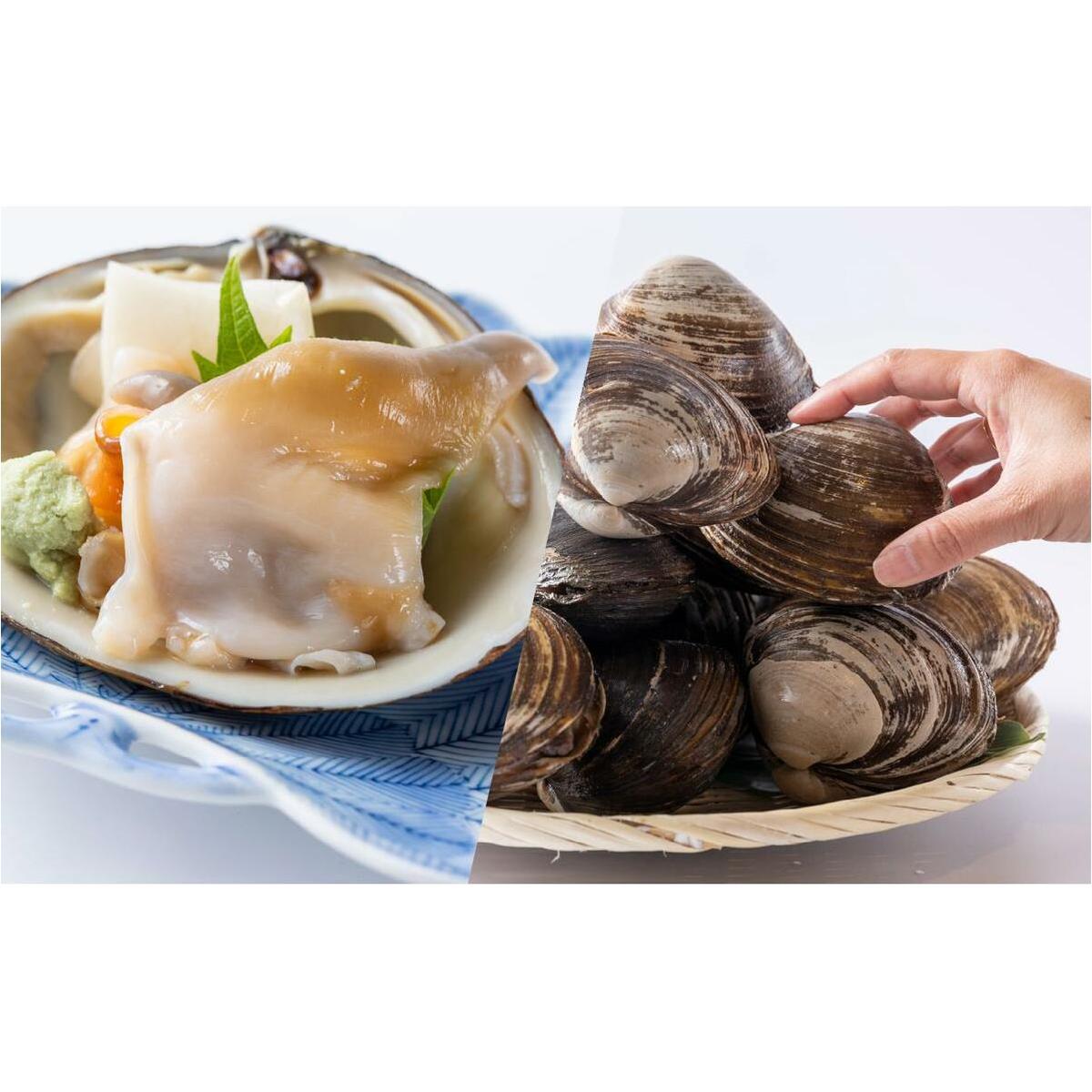 ＜12月から順次発送＞【 定期便 4回 】 北海道産 海の幸 定期便 いくら 500ｇ ( 250 ｇ × 2 パック ) 毛がに 2尾 活きホッキ貝 20個 サクラマス まるごと 1尾 北海道 新ひ