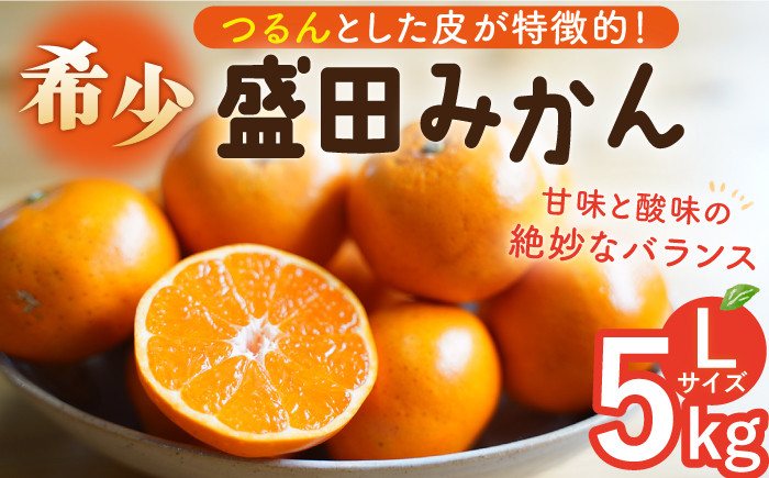 
                  【数量限定】盛田みかん Lサイズ 約5kg（約40～45個前後）ー2026年12月より発送ー 長与町/山口農園 [EBI003] 盛田 もりた みかん 柑橘 果物 くだもの フルーツ 季節限定 先行予約 数量限定 希少 稀少 温州みかん ミカン 5kg 産地直送 長崎県産 長与町
                