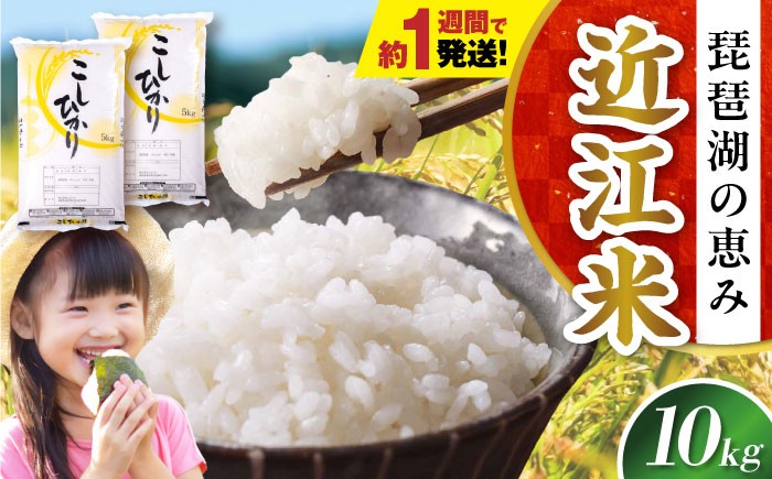 【令和8年産 新米】コシヒカリ 10kg 白米 滋賀県長浜市/株式会社コメック [AQDH002] 米 お米 白米 10kg こしひかり 滋賀県産 長浜市産 こめ 精米 お米  食品 国産 米ギフト 人気 お弁当 和食 琵琶湖の恵み ご飯のお供 夜ごはん 昼ごはん 朝ごはん 弾力 上品な 甘み ごはん ご飯 おにぎり 炊き込みご飯 コシヒカリ 10キロ おすすめ プレゼント 贈答