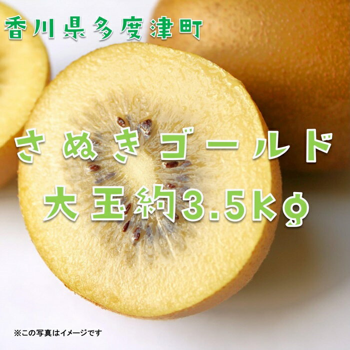 【ふるさと納税】香川県オリジナルキウイフルーツ『さぬきゴールド』大玉約3.5kg【予約受付中！令和7年10月中旬頃から発送】〔提供：株式会社ことひら街道〕しあわせ製麺 甘い 大きい 期間限定