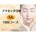 【ふるさと納税】【プラセンタ】5A　10回チケット