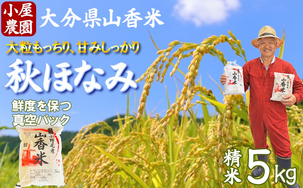 
                  新米 先行予約 令和8年産 精米 (秋ほなみ) 5kg 真空パック 【小屋農園】 2026年産 ＜159-028＞
                