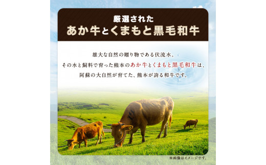 熊本県産 あか牛 くまもと黒毛和牛 もつ鍋セット こだわり和風仕立て 肉のみやべ 《120日以内に出荷予定(土日祝除く)》 ---sm_fmiyaakkrhr_120d_23_13500_4p---