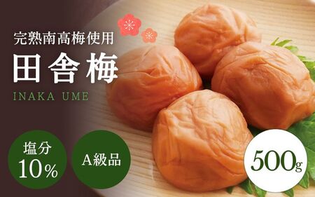 【A級品】紀州南高梅 田舎梅 500g 塩分10％ / 梅干し 梅干 うめぼし 南高梅 国産 梅 うめ ウメ 完熟 健康 ご飯のお供 昔ながら 贈り物 ギフト プレゼント お取り寄せ せんのうめ 和歌山県 田辺市 仙宝【spo008】