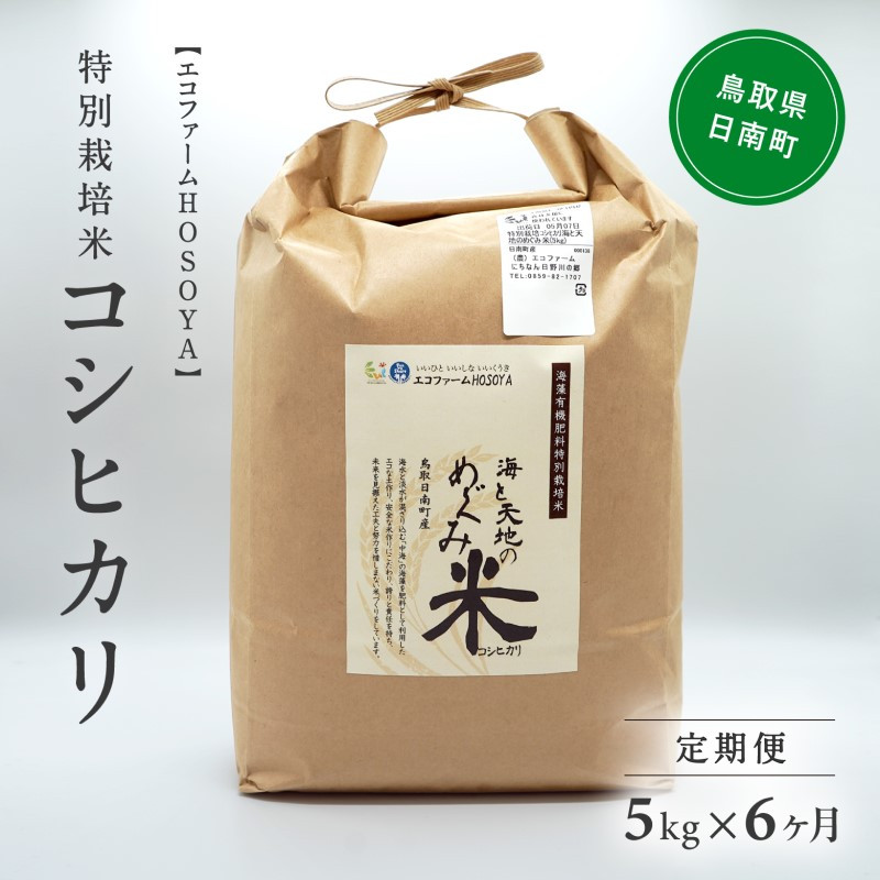 
[№5667-0289]【6カ月連続お届け】令和5年産 海と天地のめぐみ米（コシヒカリ） 白米5kg
