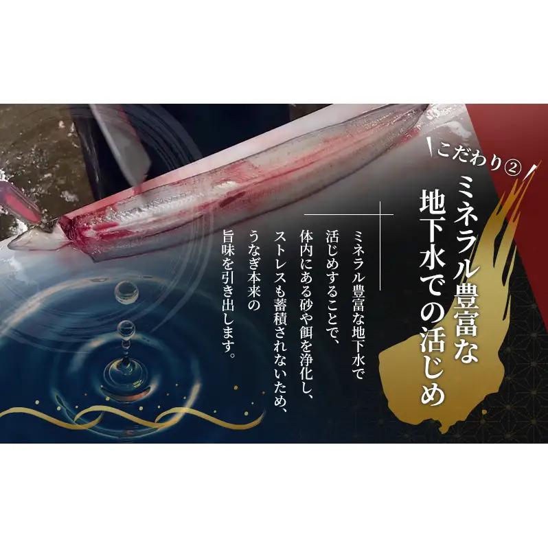 父の日ギフト 浜名湖産うなぎ 蒲焼 2尾 (100g以上×2本)山椒たれ付き 国産 うなぎセット 国産うなぎ 浜名湖うなぎ 海老仙 静岡 浜松市