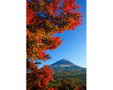 【ふるさと納税】 富士山フォトパネル（紅葉）ふるさと納税 富士山 フォトパネル 写真 額装写真 山梨県 鳴沢村 送料無料 NSF009