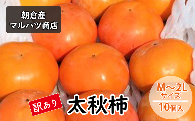 訳あり 柿 太秋柿 M～2Lサイズ×10個入 マルハツ商店 配送不可：離島 果物 フルーツ 秋の味覚 おやつ デザート 産地直送 大玉 果汁 多い さくさく 福岡県産 朝倉市産 