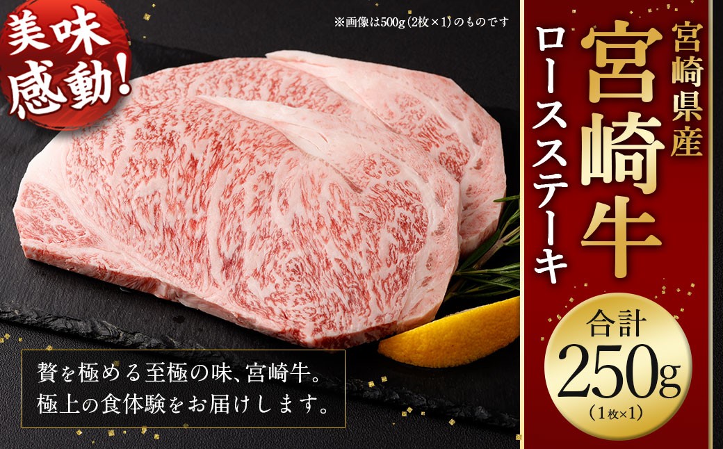 
                  ＜宮崎牛ロースステーキ1枚 250g＞翌月末迄に順次出荷 お肉 肉 宮崎牛 牛肉 ステーキ ステーキ肉 ロース ロースステーキ 冷凍 宮崎県 高鍋町
                
