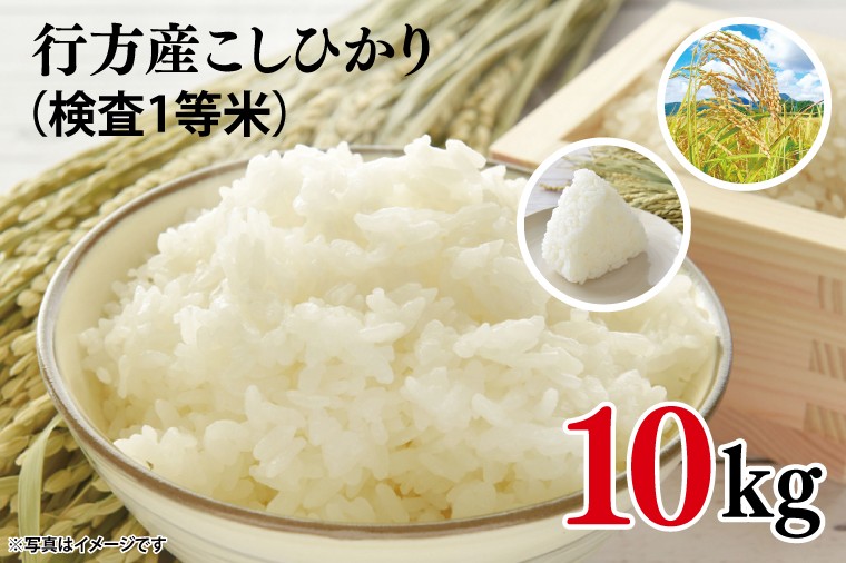 
                  ★令和7年度産★行方産こしひかり 10kg(検査1等米)｜米 お米 コシヒカリ こしひかり 令和7年産 R7年産 茨城県 行方市(CU-31-2)
                