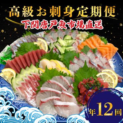 ふるさと納税 下関市 【定期便年12回】 唐戸市場直送 高級お刺身 各2人前 毎月発送 冷凍 真空 鮮魚 EY025