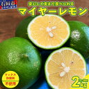 【ふるさと納税】《2025年7月下旬以降順次発送》こだわりの青切りマイヤーレモン 約2kg (12～18個) | 沖縄 石垣 数量限定 フルーツ レモン マイヤー メイヤー TF-27-1