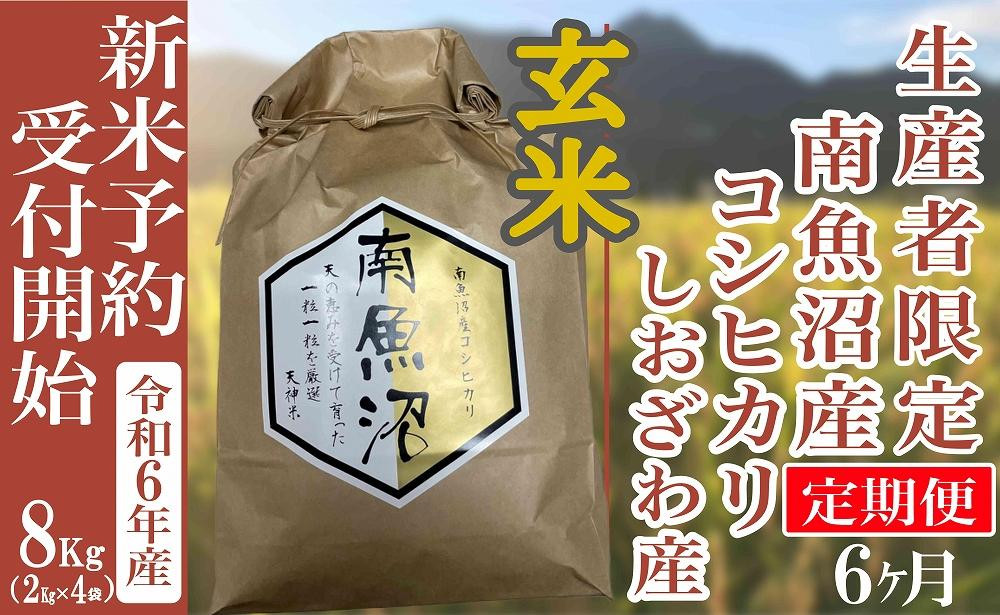 
【新米予約・令和6年産】定期便６ヶ月：玄米８Kg 生産者限定 南魚沼しおざわ産コシヒカリ
