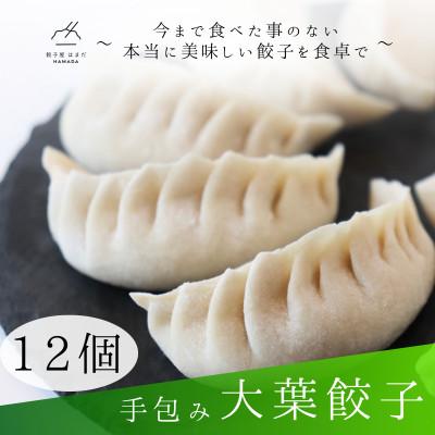 ふるさと納税 草津市 手包み大葉餃子　12個入り