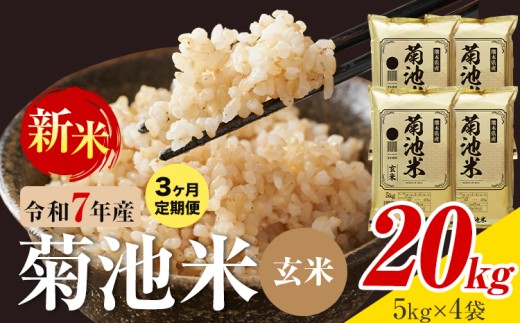 【3ヶ月定期便】熊本県産 菊池米 玄米 20kg 1袋5kg 米 お米 令和7年産 九州産 熊本県産  送料無料《お申込み翌月に出荷予定》玄米 米