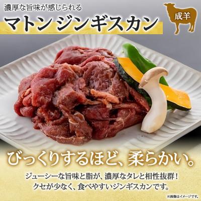 ふるさと納税 長野市 長野県 信州新町 不動温泉 さぎり荘 ジンギスカン2種食べ比べセット 250g×1袋 計500g |  | 01