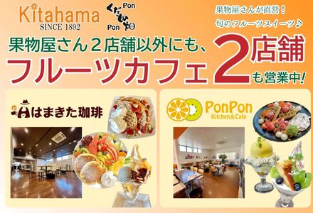 【2025年11月中旬より順次発送】【特秀品】小原紅早生 約5kg みかん みかん みかん みかん