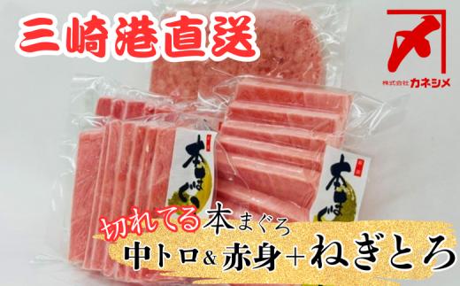 三崎マグロ 卸問屋カネシメの本鮪 中トロ・赤身切れてるお刺身セット＋目鉢鮪 ネギトロ　M070-007