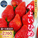 【ふるさと納税】【 先行予約 】 いちご 「 やよいひめ 」約270g×8パック 《 配送時期が選べる / 1月 2月 3月 4月 5月 》 群馬県 千代田町 大粒 完熟収穫 大容量 新鮮 数量限定 甘い 贅沢 ご褒美 イチゴ ストロベリー 贈答 贈り物 ギフト プレゼント 果物 春 旬