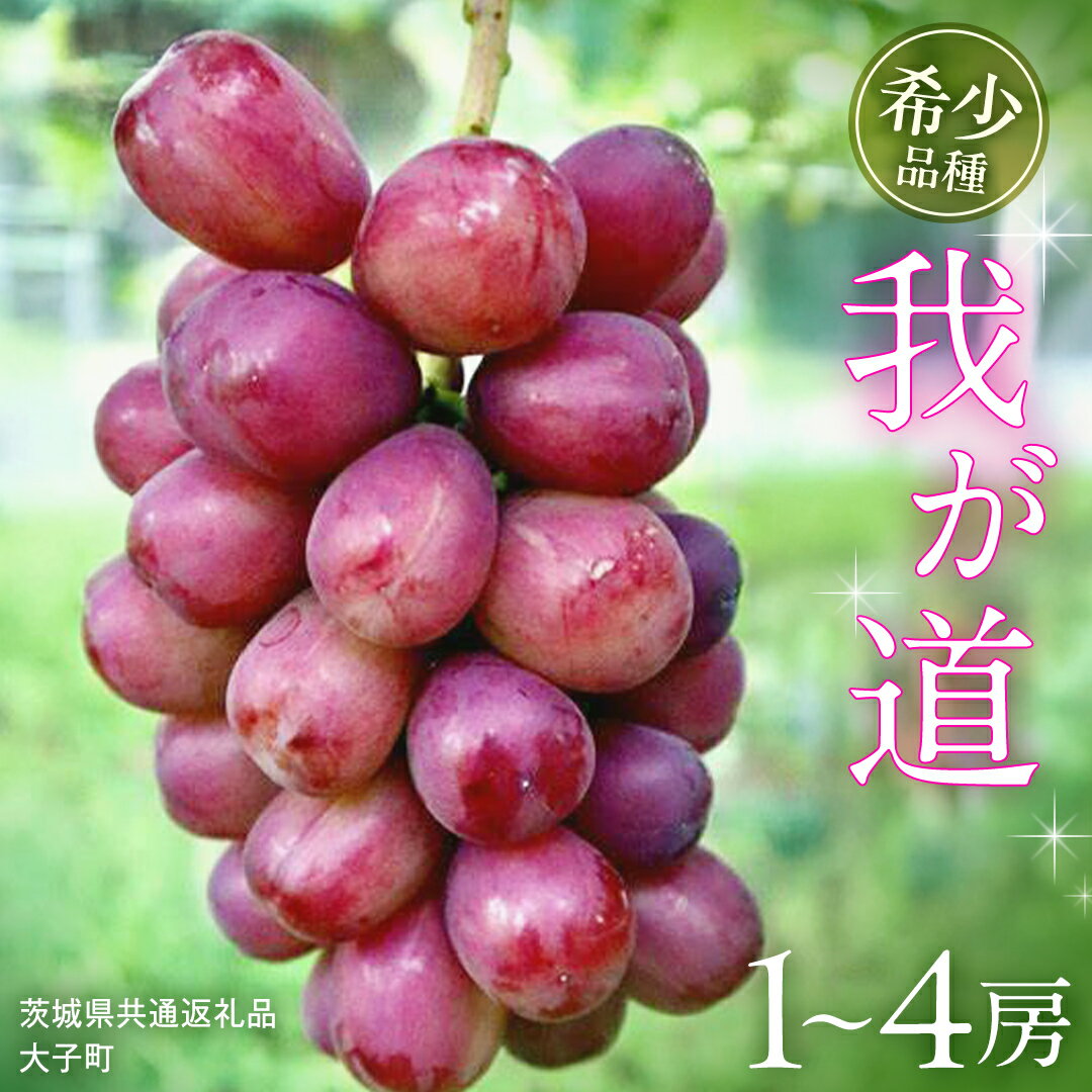 【ふるさと納税】《 選べる 房数 》 我が道 1房 2房 4房【2025年9月上旬発送開始】(茨城県共通返礼品：大子町) シャインマスカット ウインク 葡萄 ブドウ ぶどう 果物 フルーツ 希少 新品種