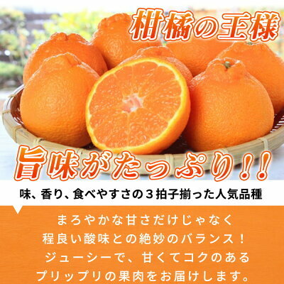 G7063_高級ブランド 田村の 完熟紀州デコ (不知火) 15玉～28玉_イメージ4