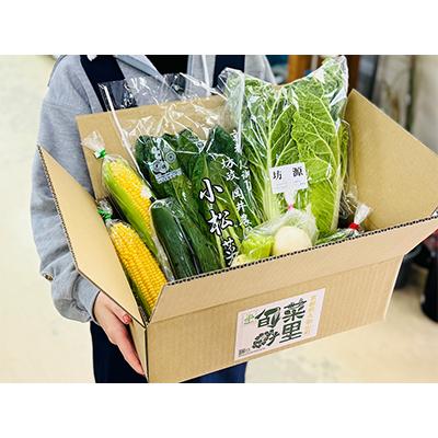 ふるさと納税 久御山町 季節の京都府久御山野菜詰合せ