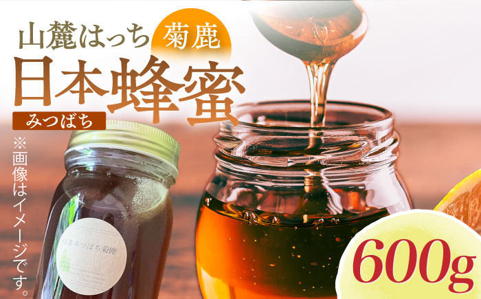 
日本みつばち菊鹿約600g【山麓はっち】 [ZBM011] 蜂蜜 はちみつ ハチミツ 熊本県 特産品
