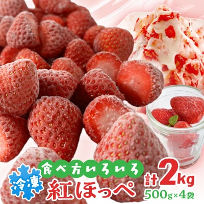掛川産『ミズノ農園の完熟冷凍紅ほっぺ』500g×4袋【配送不可地域：離島・北海道・沖縄県・東北・中国・四国・九州】