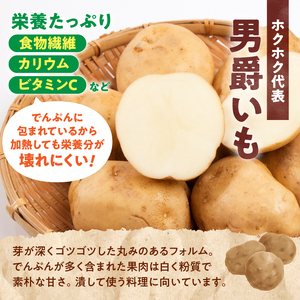 【先行予約】北海道産 じゃがいも 男爵 5kg  男爵芋 ジャガイモ 芋 いも 秋野菜 季節の野菜 直送農場 北海道雨竜町産 サイズ混同 野菜