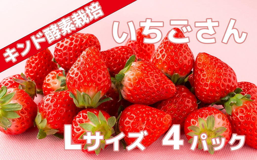 
            【キンド酵素栽培】「いちごさん」Lサイズ４パック
          