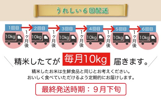 ＜令和8年産米＞ 令和9年1月下旬より発送  特別栽培米 つや姫【白米】60kg定期便(10kg×6回） 山形県鮭川村 