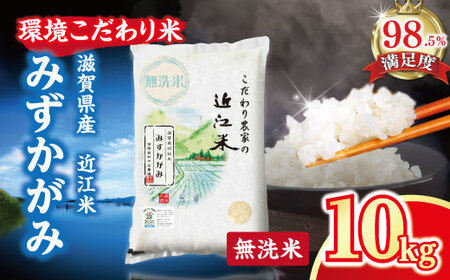  令和7年産 無洗米 みずかがみ 10kg 【BN02W2】 近江米 環境こだわり米 滋賀県産 単一原料米