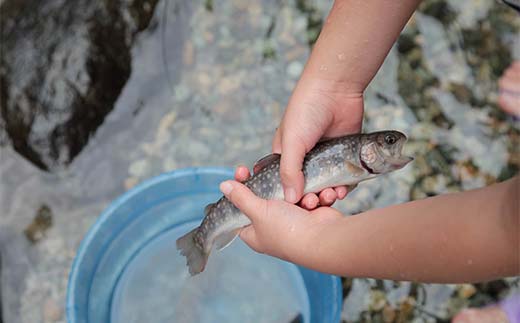 神室フィッシャーマンズロッジ 大人お1人様プラン 一日券 イベント チケット 釣り フィッシング アウトドア F4B-0593