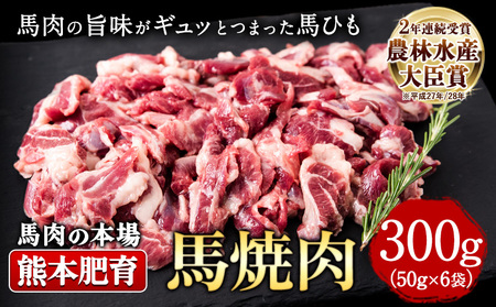 馬ひも焼肉用300g（50g×6袋） 肉 馬ひも 馬肉 熊本県苓北町《90日以内に出荷予定(土日祝除く)》 ｜人気馬刺し  人気返礼品 熊本馬刺し ブランド馬刺し 苓北馬刺し 特産馬刺し