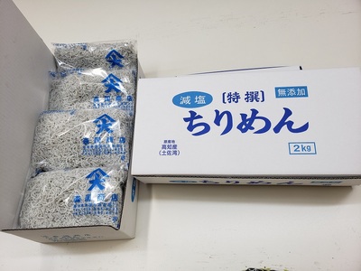 【土佐湾からの贈りもの】しらす干し2kg（250g×8パック）