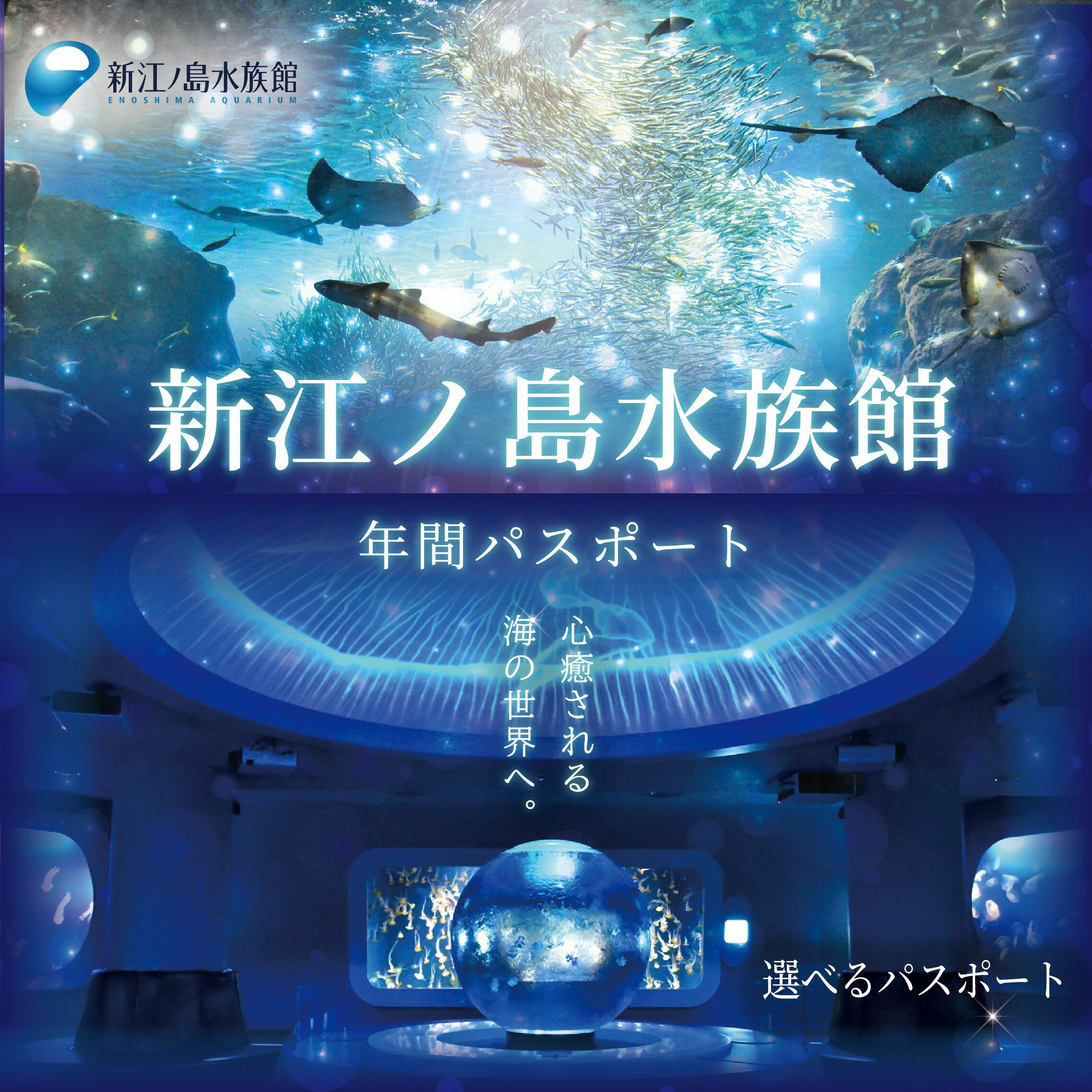 【ふるさと納税】 水族館 チケット 新江ノ島水族館 選べる 年間 パスポート 引換券 江ノ島 江の島 利用券 券 体験チケット イルカショー 体験型 アクティビティ 入場券 前売り券 お出かけ 旅行 観光 トラベル 関東 すいぞくかん レジャー 神奈川 湘南 藤沢