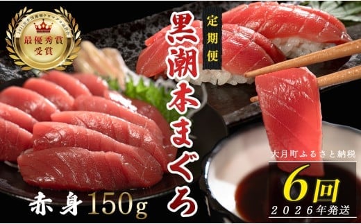 
            【定期便6回】日本一!黒潮本まぐろ 赤身
          