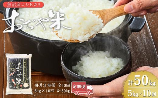 【10か月定期便（毎月発送）】 令和7年産 魚沼産コシヒカリ「おぢや米」 計50kg（5kg×1袋×全10回） | 新潟県産コシヒカリ 米 お米 こめ こしひかり 魚沼産 小千谷市 白米 精米 ブランド米【0002-JA11DB00-01】