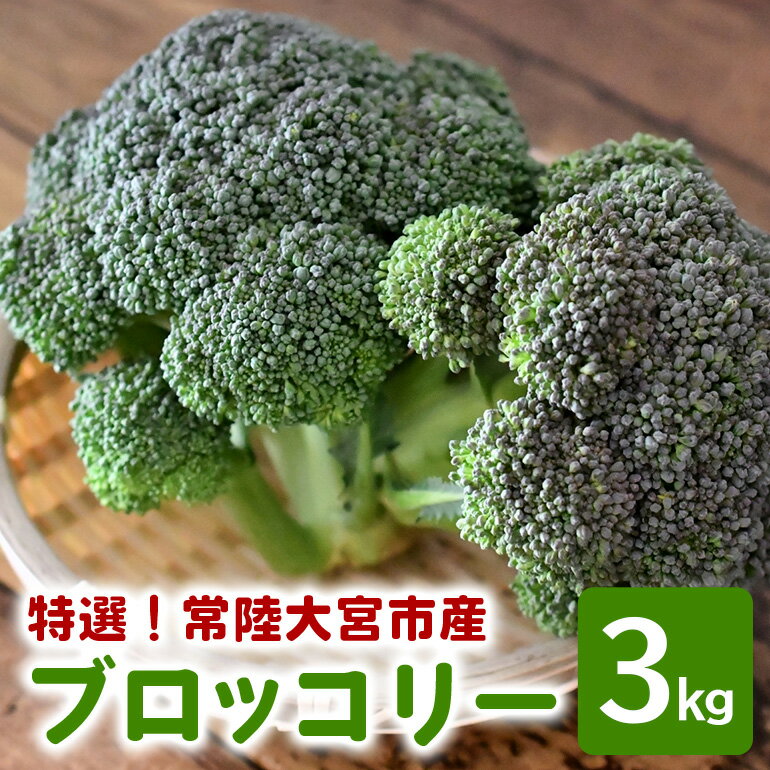 【ふるさと納税】 特選ブロッコリー 3kg 小野瀬農園 【小野瀬農園】 【ho1417】