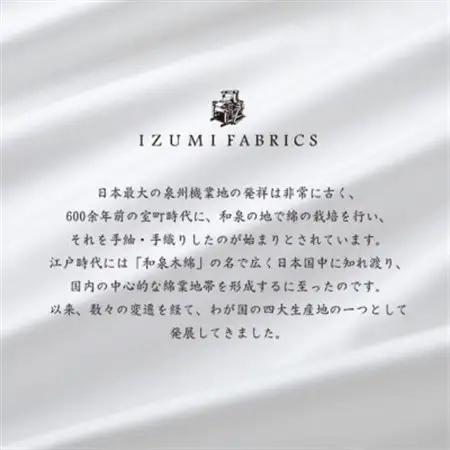 (43×63cm)ポーランド産マザーグースダウンピロー(羽毛枕)95%＆ピローケース:ピュアホワイト【1501398】